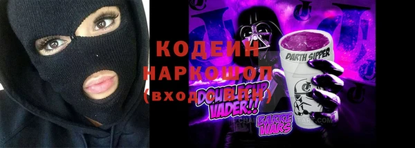 шишки Нягань