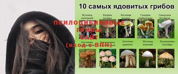 меф Нязепетровск