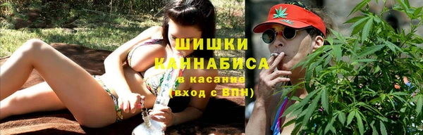 тгк Новозыбков