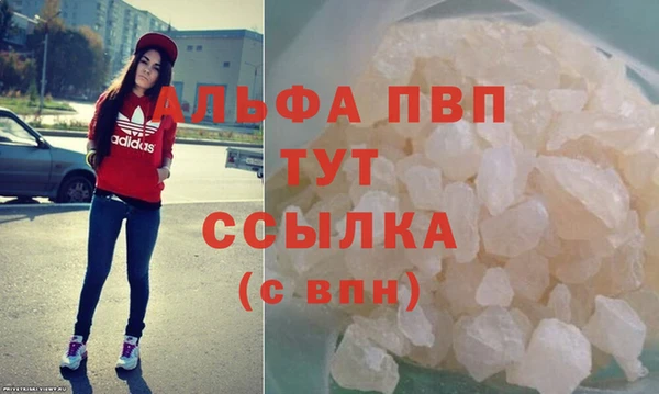 ECSTASY Новодвинск