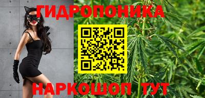 бошки Абинск