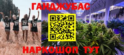 Альфа ПВП Аргун