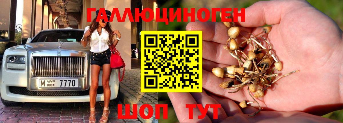 Красноуфимск  Псилоцибиновые грибы Psilocybe  купить  цена  Вход с VPN 